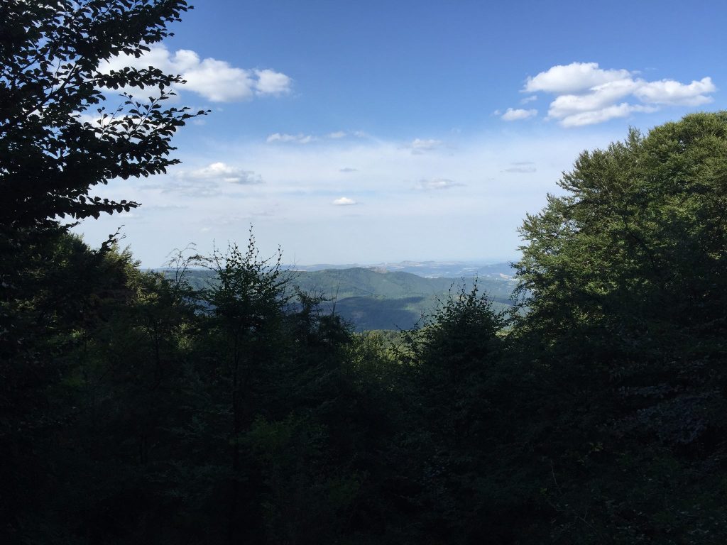 Природата на Борики. Изображение: Недко Солаков. Личен архив