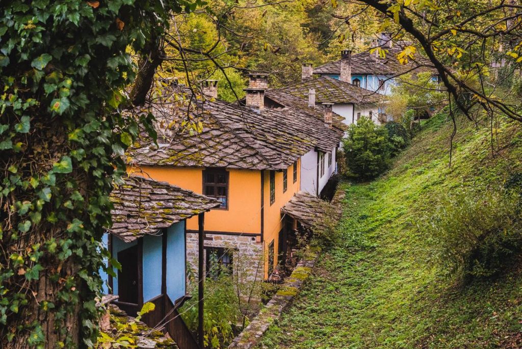 © ЕМО "Етър"