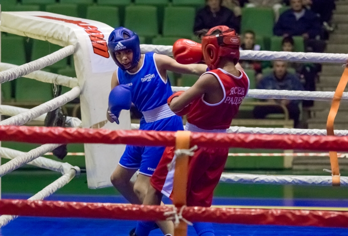 Състезателят на Боксов клуб „Габрово 91“ Габриел Пайнаров спечели златен медал от Държавното лично първенство по бокс, което се проведе в Габрово