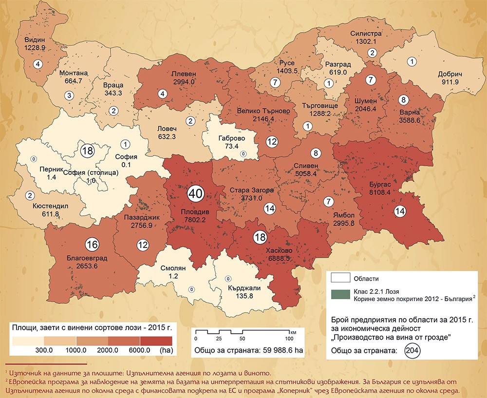 Площи, заети с винени сортове лози в област Габрово