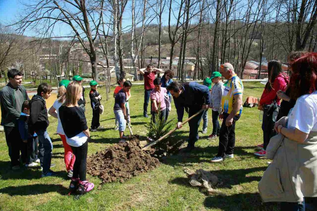 Лесовъд за един ден, Габрово 2017 © Северноцентрално държавно предприятие