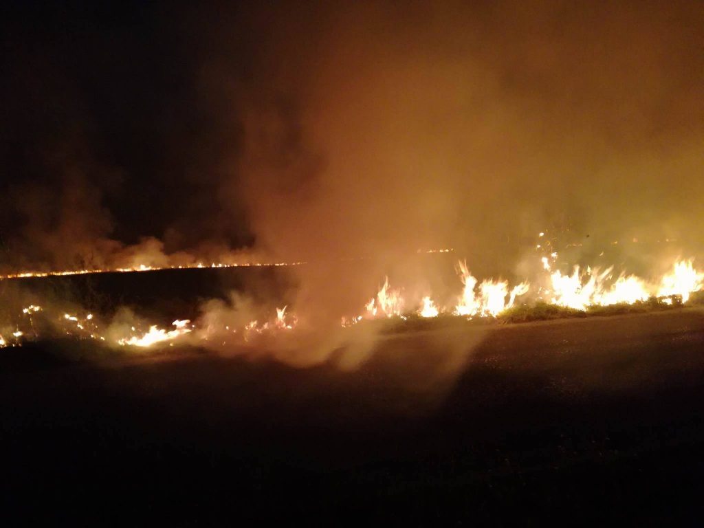 Пожар в землището на с. Кози рог © РСПБЗН - Габрово