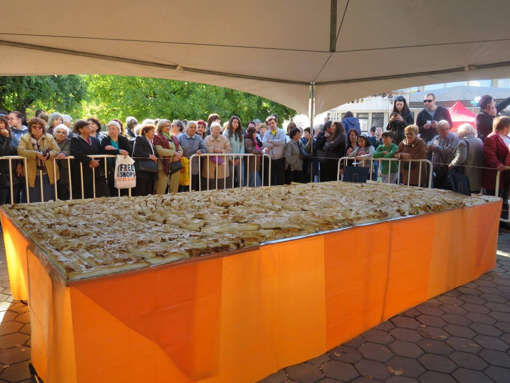 Тиквеник-рекордьор в Севлиево, 15 октомври 2017 © Община Севлиево